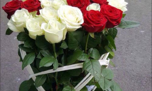 Pitiot -fleurs 51