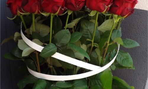 Pitiot -fleurs 54