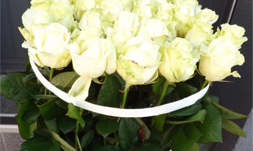 Pitiot -fleurs 55